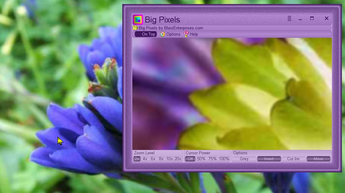 bigpixels-screenshot (JPG image)